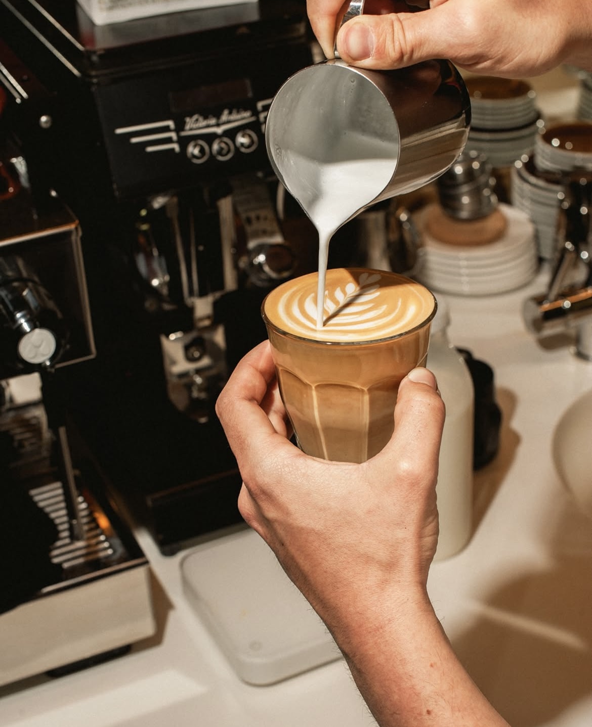 Cafés El Magnífico